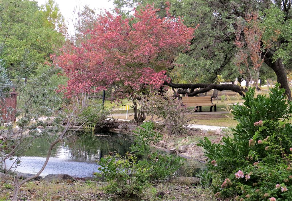 311 Summer Hill Dr Property Photo 24