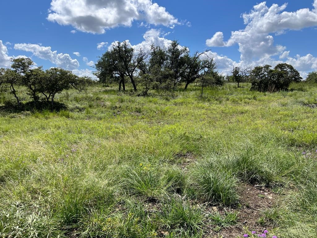 Lot 11 Sweet Wind Ln # 11 Property Photo 3