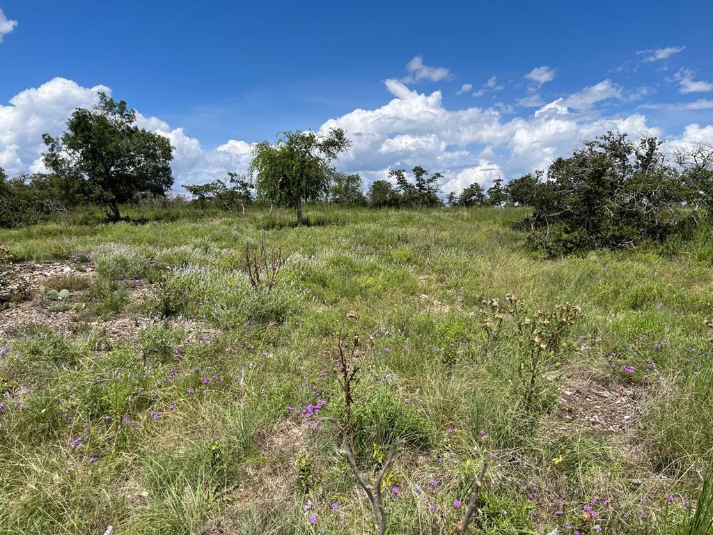 Lot 11 Sweet Wind Ln # 11 Property Photo 4