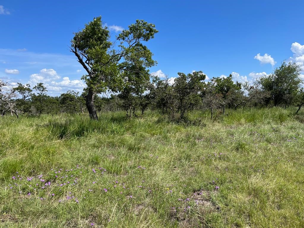 Lot 12 Sweet Wind Ln # 12 Property Photo 4