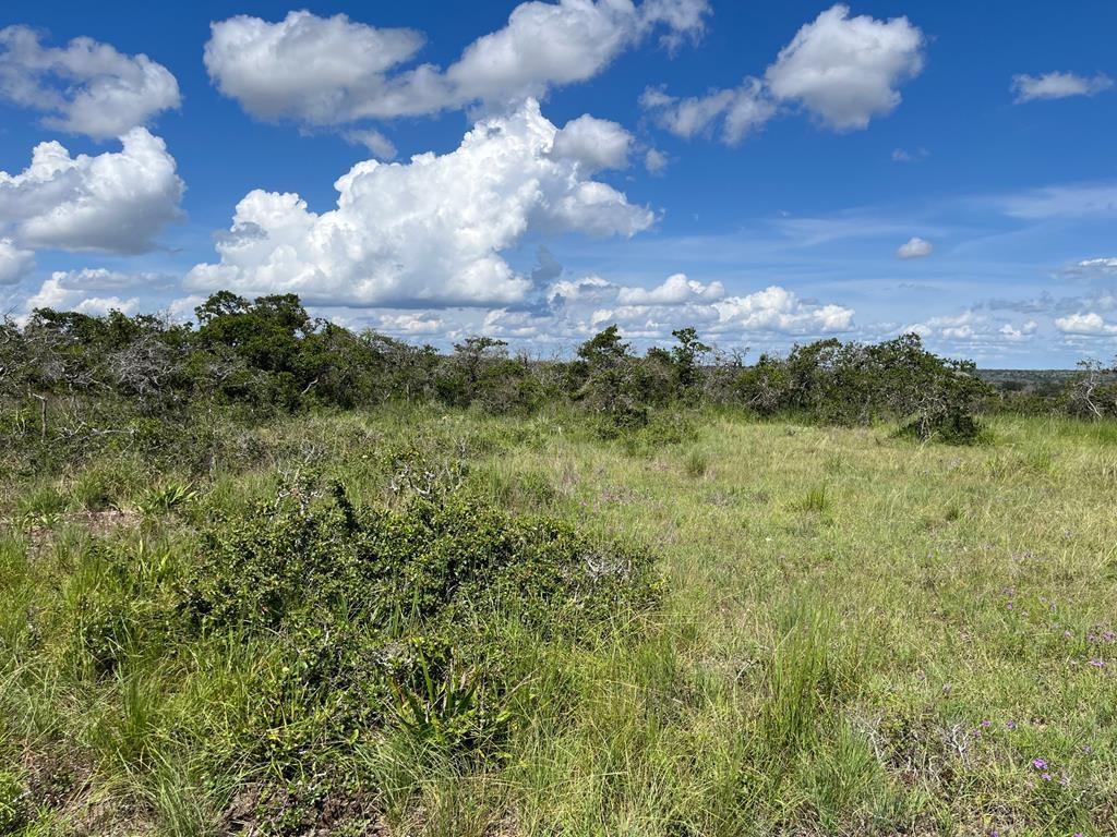 Lot 12 Sweet Wind Ln # 12 Property Photo 5