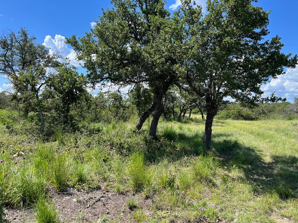 Lot 12 Sweet Wind Ln # 12 Property Photo 6