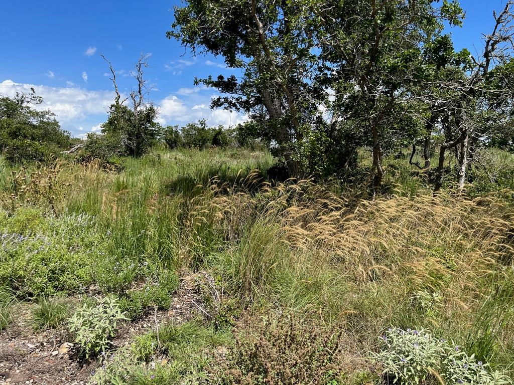 Lot 12 Sweet Wind Ln # 12 Property Photo 7