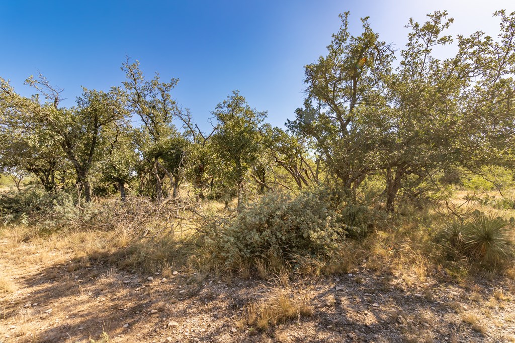 00 Timber Trail Property Photo 3