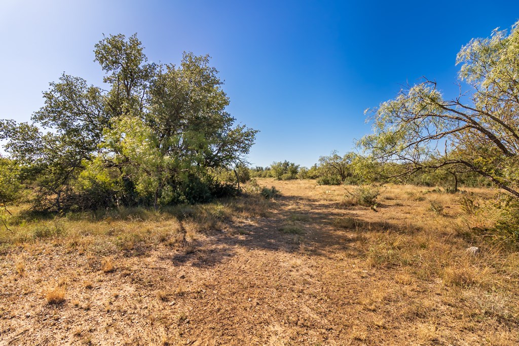 00 Timber Trail Property Photo 14