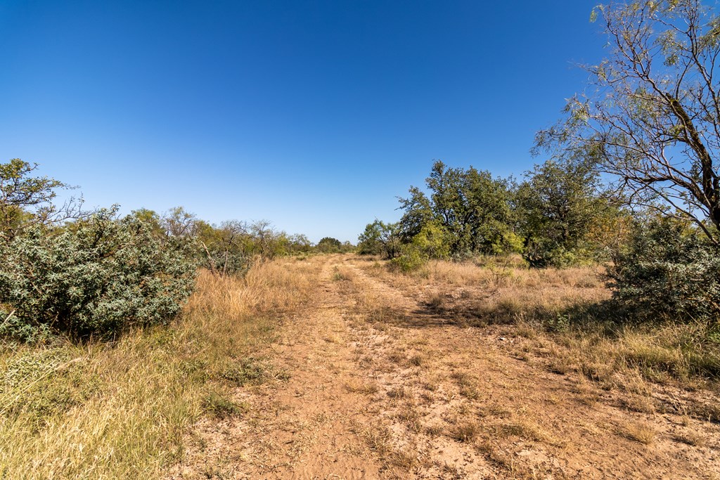 00 Timber Trail Property Photo 19