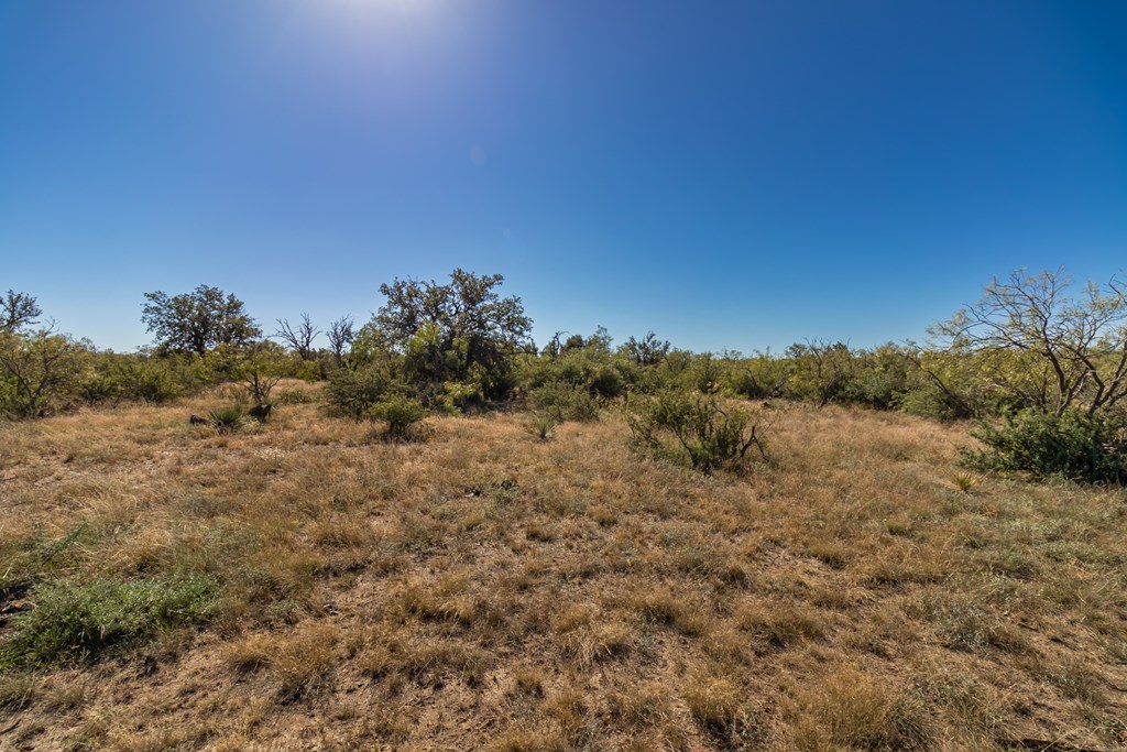 00 Timber Trail Property Photo 27