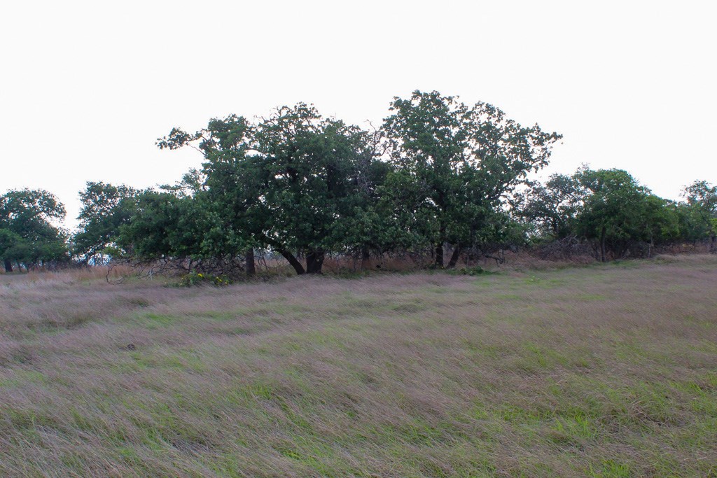 253 Apache Trace # 8 Property Photo 2