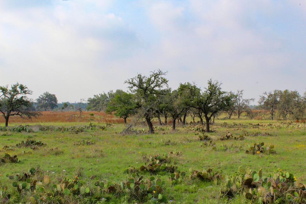 265 Apache Trace # 9 Property Photo