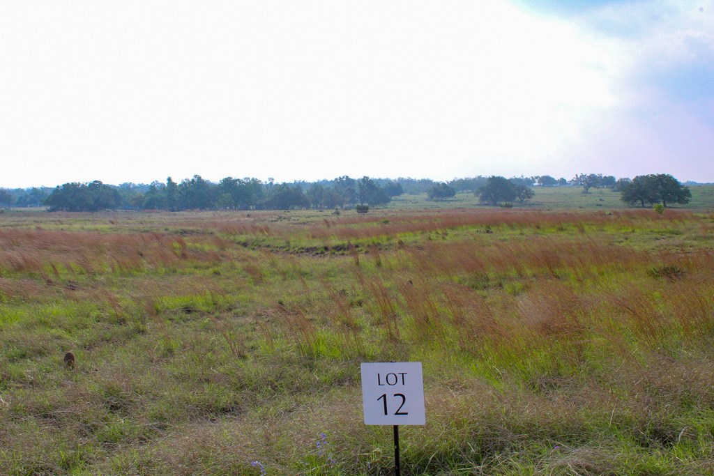 299 Apache Trace # 12 Property Photo 2