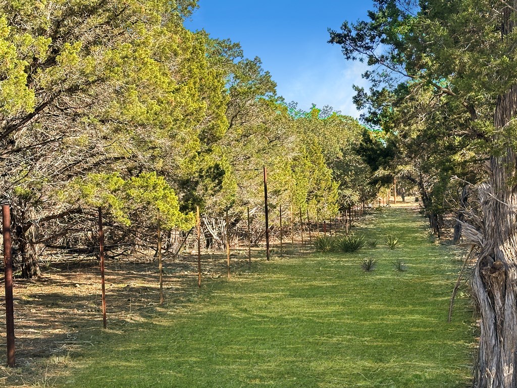 565 Red Bluff Ranch Rd Property Photo 22
