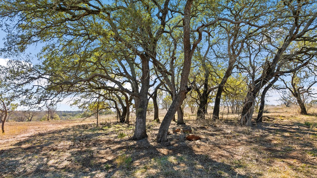 201 County Rd 114 Property Photo 45