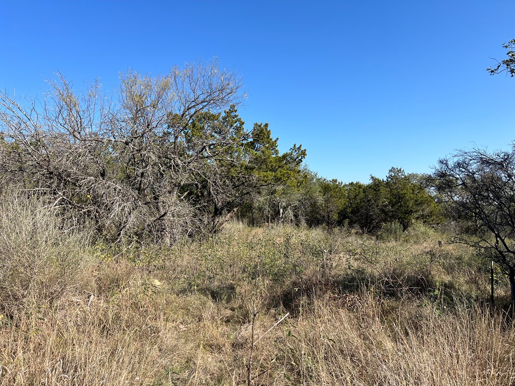 000 Sage Circle # K10 Property Photo 6