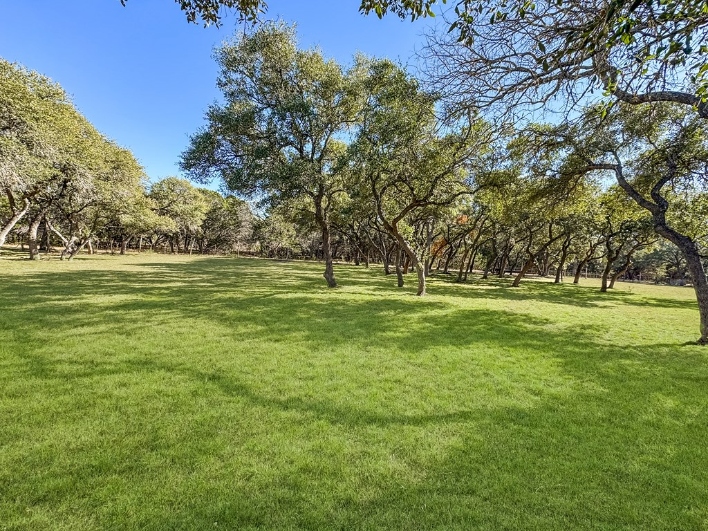 565 Red Bluff Ranch Rd Property Photo 7