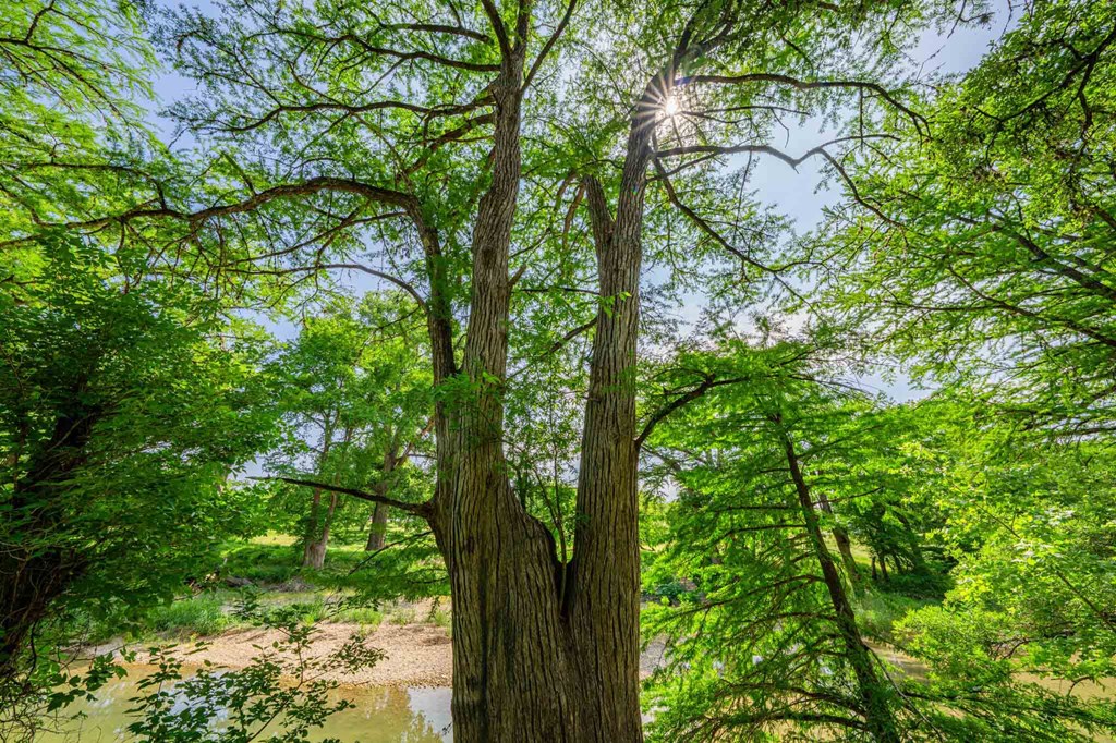 505 Fm 473 Property Photo 10