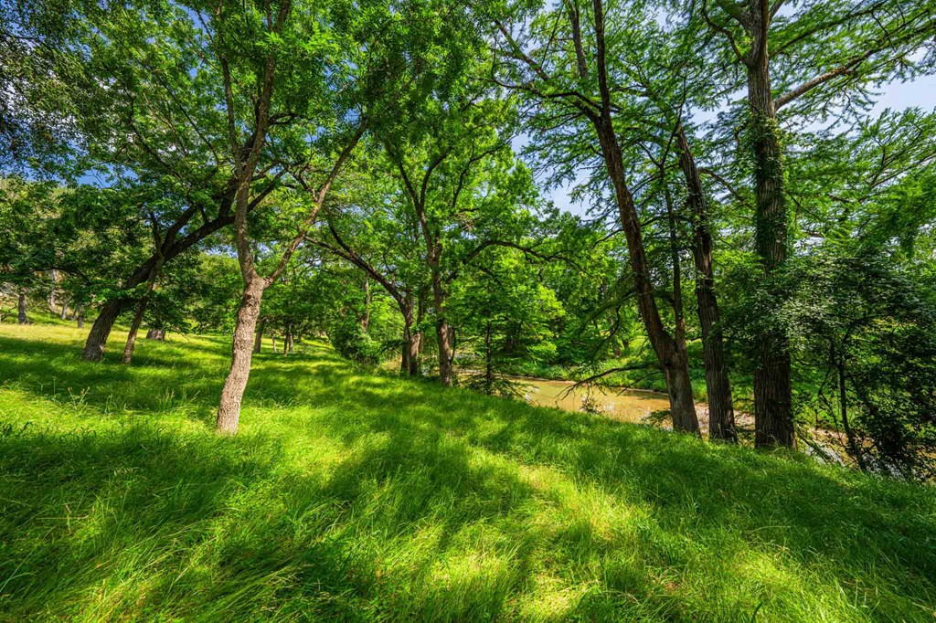505 Fm 473 Property Photo 11