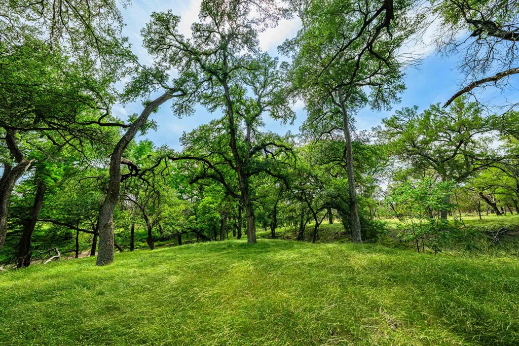 505 Fm 473 Property Photo 12