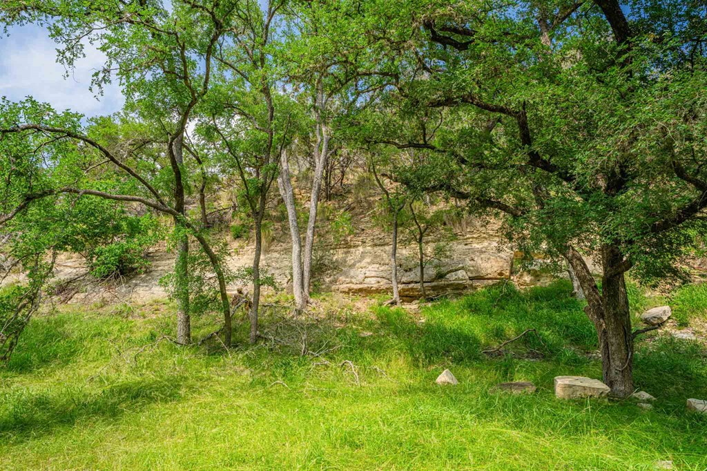 505 Fm 473 Property Photo 13