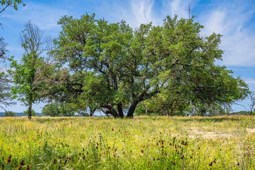 505 Fm 473 Property Photo 47