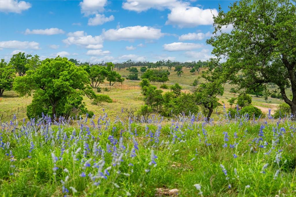 Lot 48 Badger Ridge Rd # 48 Property Photo 1