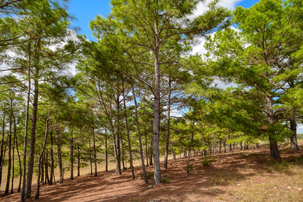 1111 Nink Rd Property Photo 30