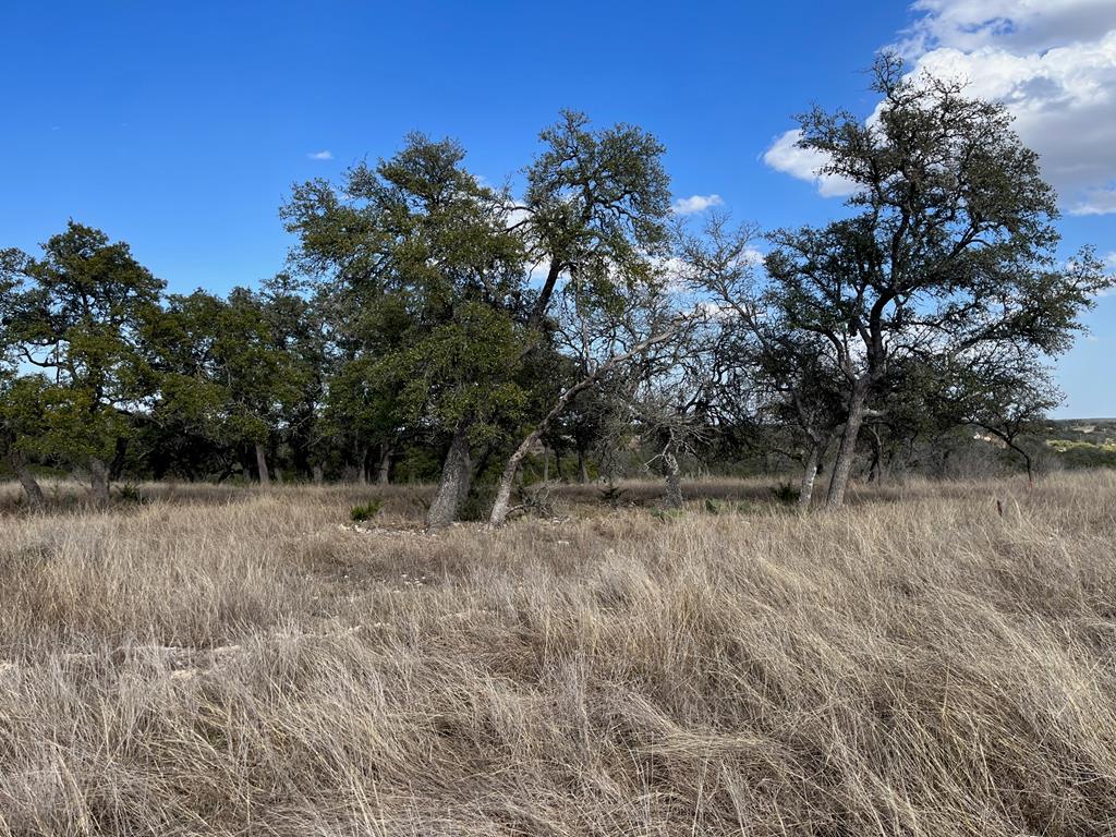 Lot 18 Cattlemans Crossing Dr # 18 Property Photo