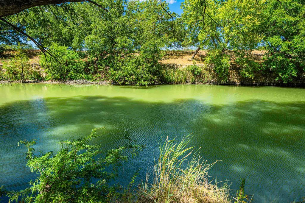105a Oleander Rd. Property Photo 20