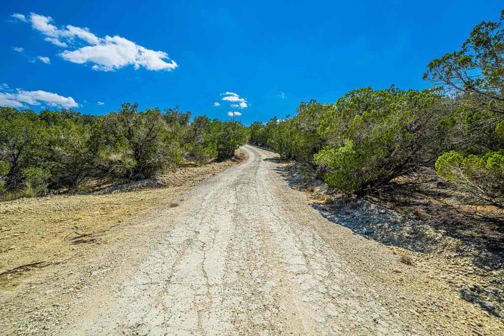 105a Oleander Rd. Property Photo 23