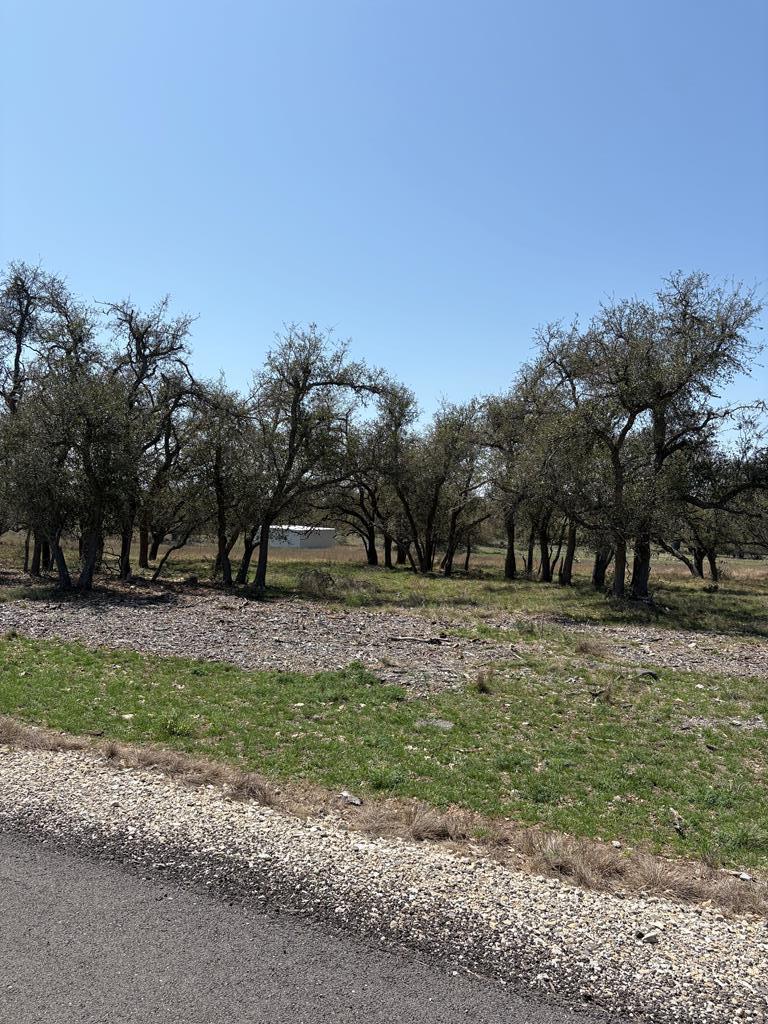 Lot 123 Fallow Dr # 123 Property Photo 5