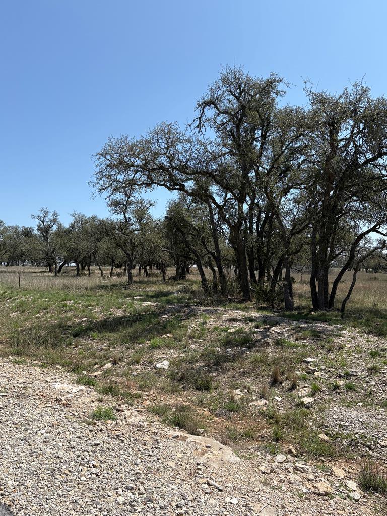 Lot 123 Fallow Dr # 123 Property Photo 21