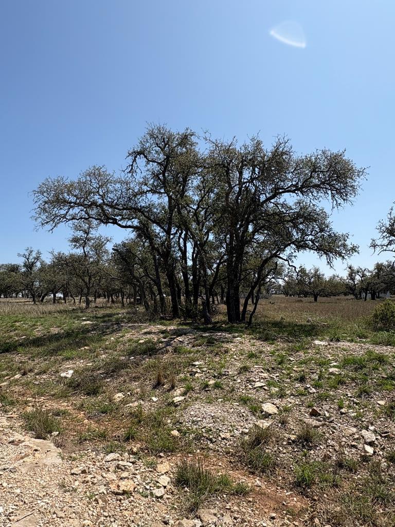 Lot 123 Fallow Dr # 123 Property Photo 22