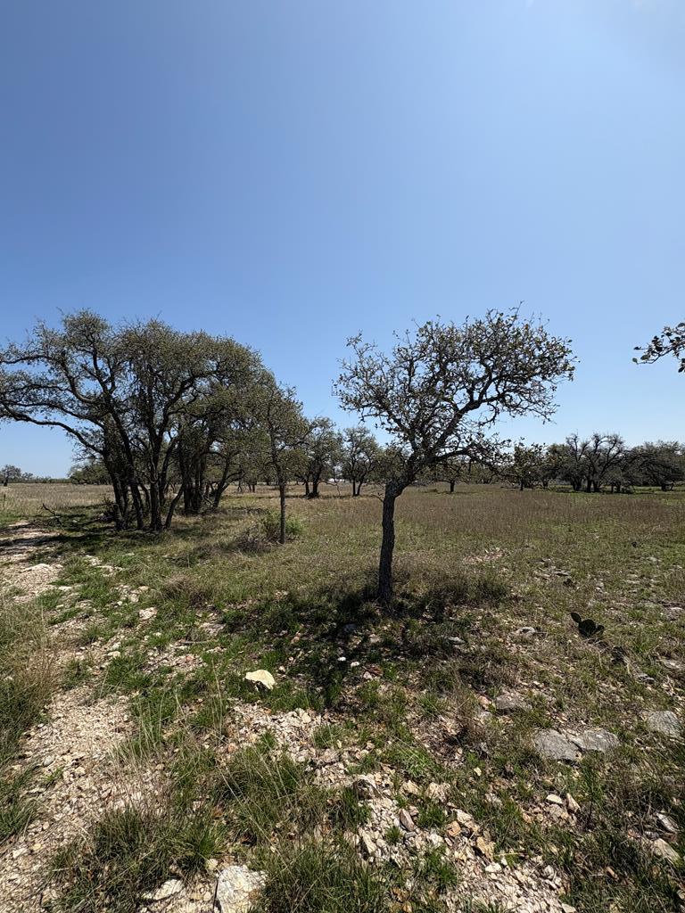 Lot 123 Fallow Dr # 123 Property Photo 23