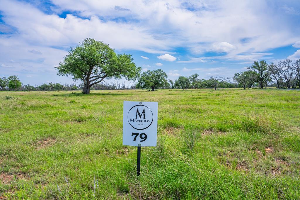 Lot 79 Stock Pond Dr # 79 Property Photo