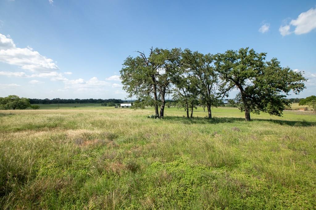 534 Ranch Rd 1376 Property Photo