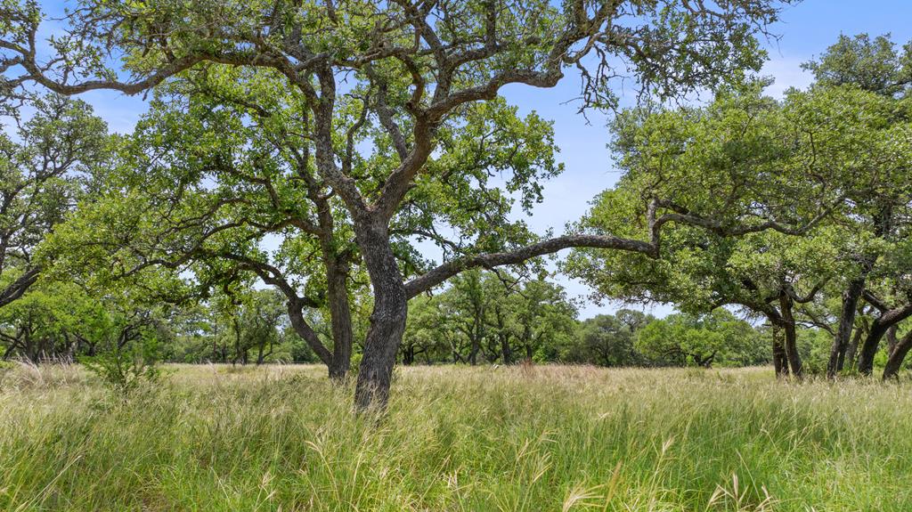 997 Sandy Oaks Ranch Rd Property Photo 1