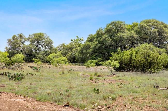Tract 3 County Rd 107 # 3 Property Photo 1