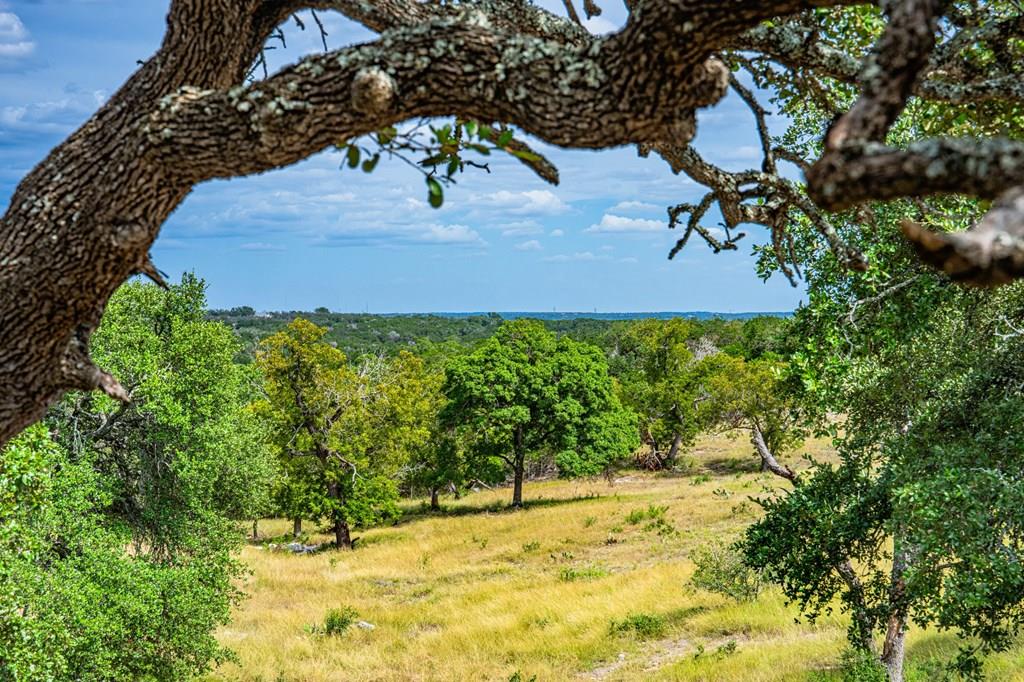 Lot 10 Cattlemans Crossing Dr # 10 Property Photo 1
