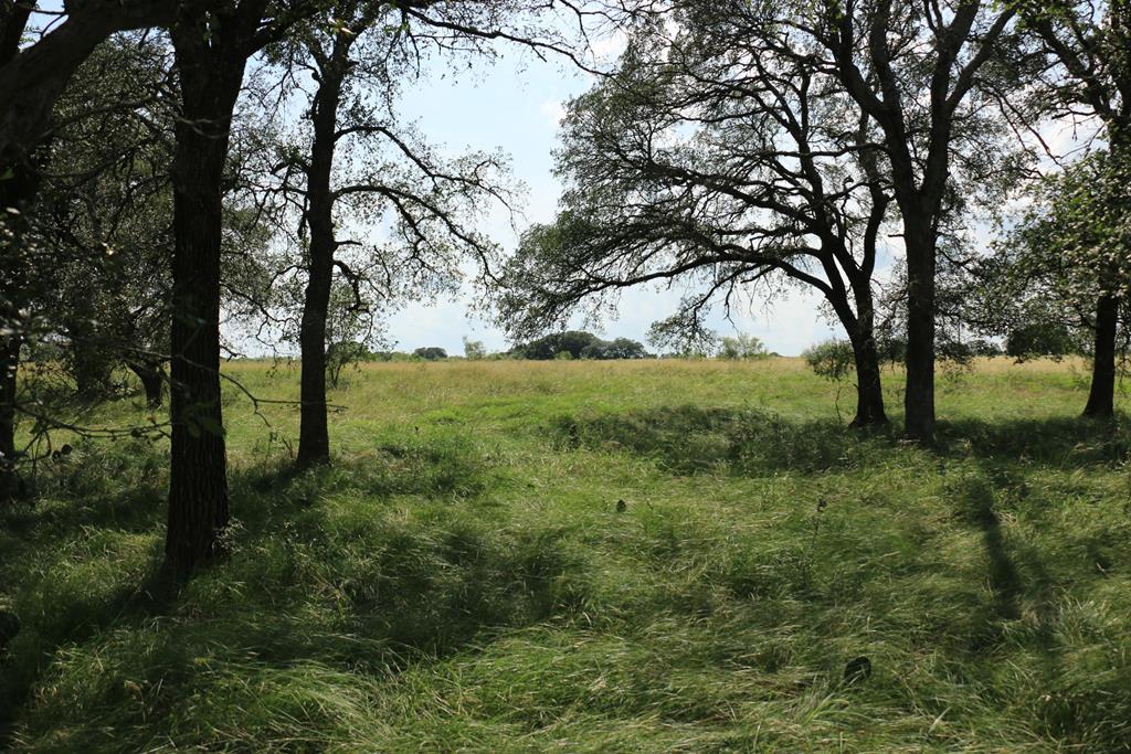 Tbd Other Property Photo 1
