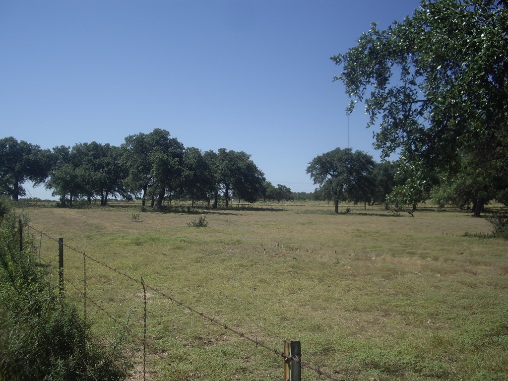 0000 W Us Hwy 290 Property Photo 5