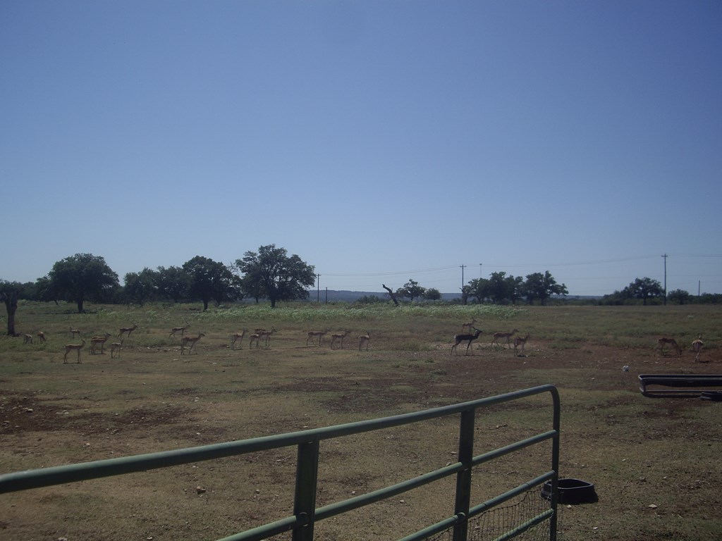 0000 W Us Hwy 290 Property Photo 17