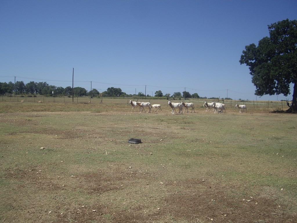 0000 W Us Hwy 290 Property Photo 18