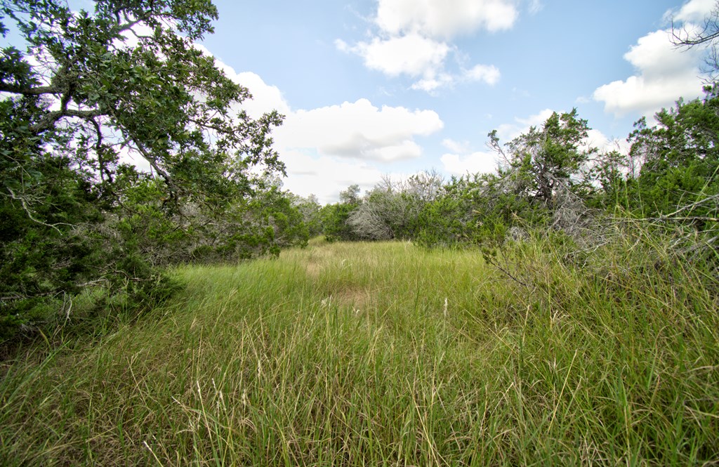 Lot 16 Paloma Ranch Rd # 16 Property Photo 7
