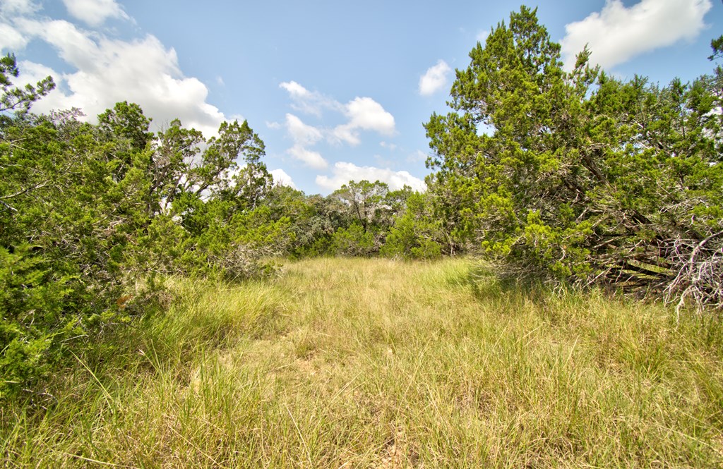 Lot 16 Paloma Ranch Rd # 16 Property Photo 8