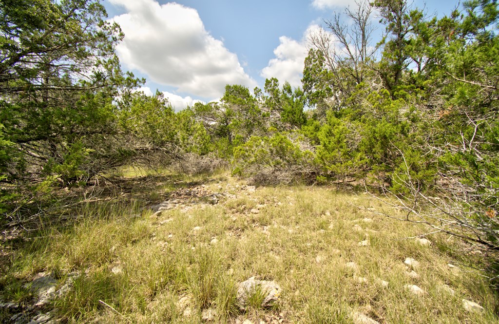 Lot 16 Paloma Ranch Rd # 16 Property Photo 10