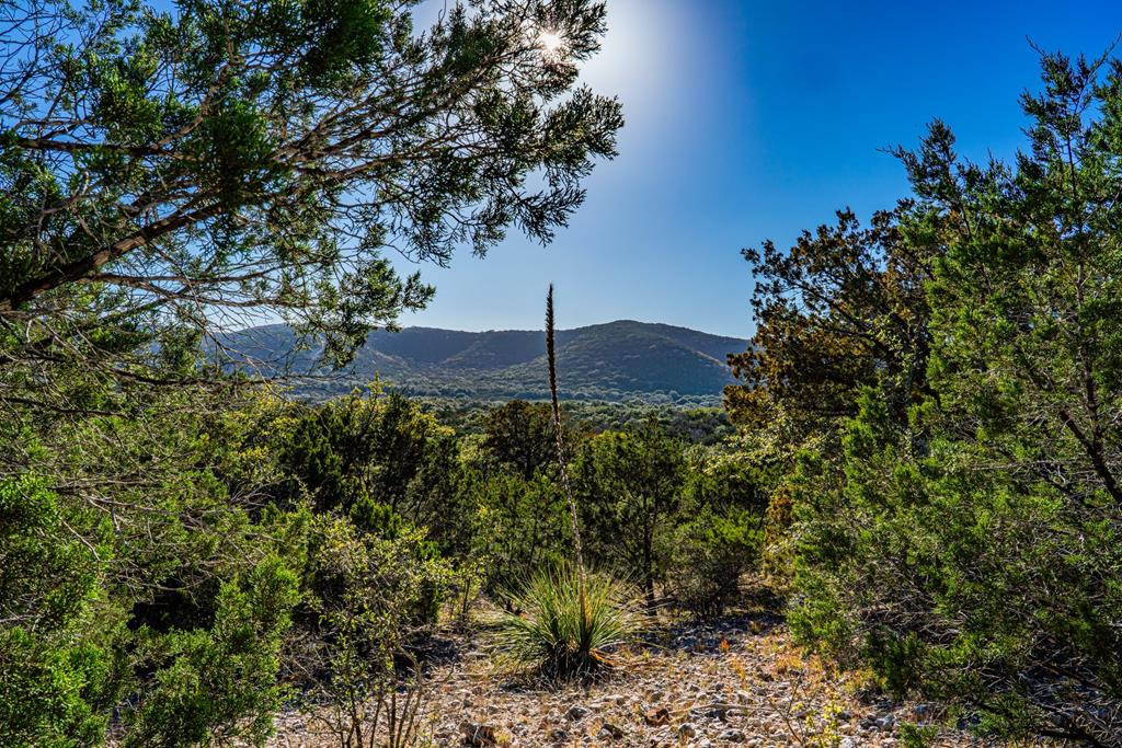 28 Frio Canyon Loop Property Photo 1