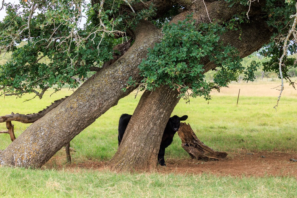 1080 S Eagle St Property Photo 25