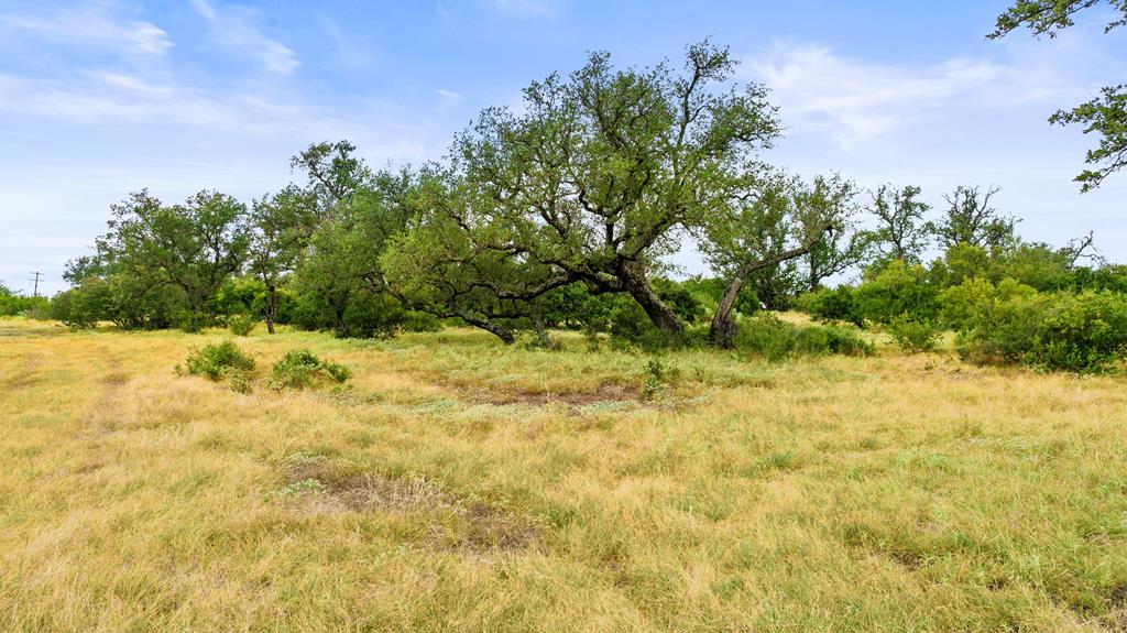 Lot 37 Vista Ridge Dr # 3 Property Photo 20