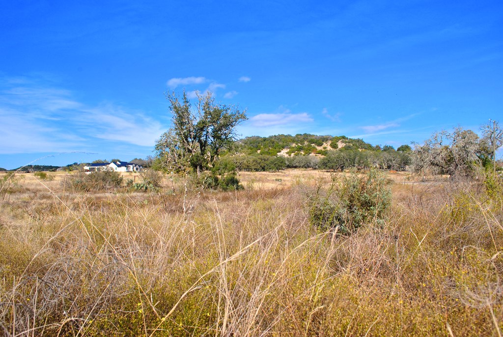 99 Grove Court # 3 Property Photo 12