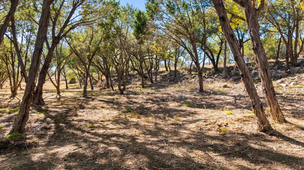 1594 Ranch Rd 1320 Property Photo 10