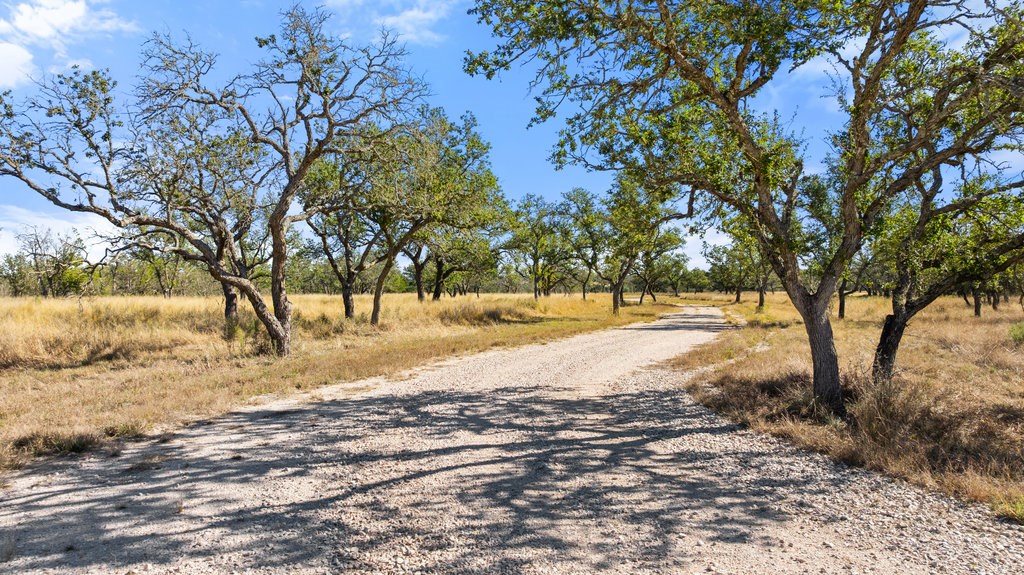 1594 Ranch Rd 1320 Property Photo 12